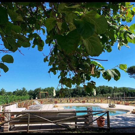 Marisma Villa Ravi Dış mekan fotoğraf